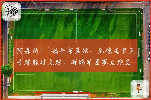 阿森纳1_1战平布莱顿,厄德高禁区手球躲过点球,海鸥军团赛后炮轰英超裁判